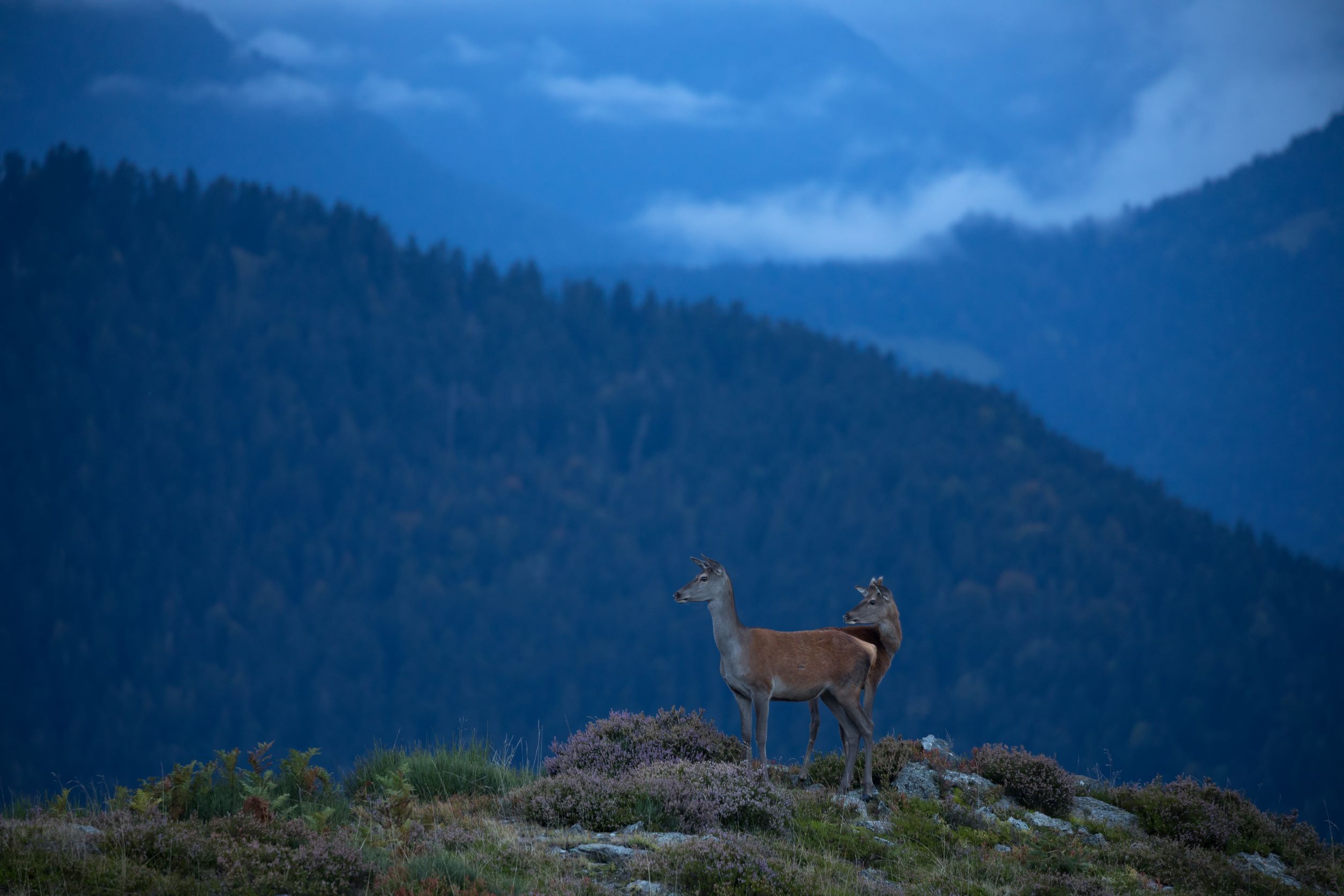 Tirage d'art montagne